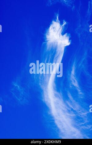 Cirrus Wolken, die vom Wind am blauen Himmel gekräuselt werden Stockfoto