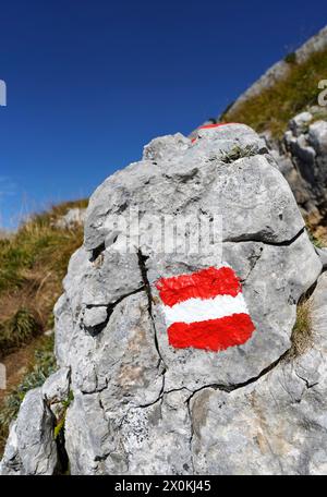 Österreich, Land Salzburg, Weißbach bei Lofer, Wanderweg zum Seehorn, Felsbrocken, Wandermarker Stockfoto