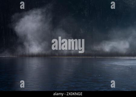 Nebel bildet sich über dem Eissee und leuchtet im Sonnenlicht, Pfälzerwoog bei Fischbach, Dahn, Naturpark Pfälzerwald, Biosphärenreservat Pfälzerwald-Nordvogesen, Deutschland, Rheinland-Pfalz Stockfoto