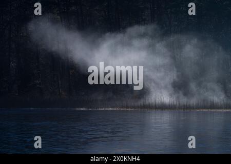 Nebel bildet sich über dem Eissee und leuchtet im Sonnenlicht, Pfälzerwoog bei Fischbach, Dahn, Naturpark Pfälzerwald, Biosphärenreservat Pfälzerwald-Nordvogesen, Deutschland, Rheinland-Pfalz Stockfoto