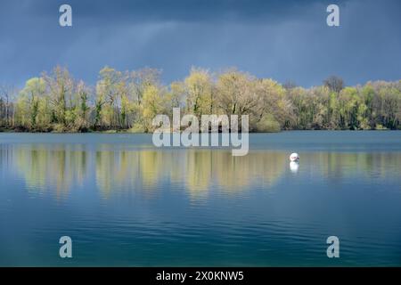 Deutschland, Baden-Württemberg, Karlsruhe, der Steinbruchteich Grötzingen. Stockfoto