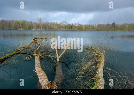 Deutschland, Baden-Württemberg, Karlsruhe, der Steinbruchteich Grötzingen. Stockfoto