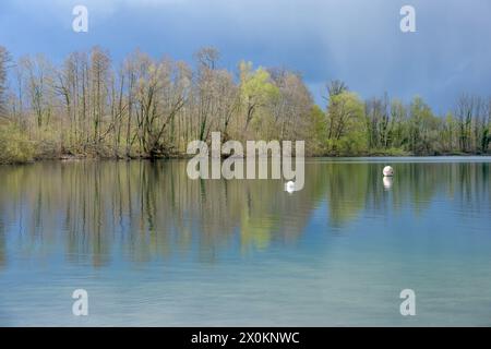 Deutschland, Baden-Württemberg, Karlsruhe, der Steinbruchteich Grötzingen. Stockfoto