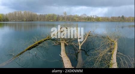 Deutschland, Baden-Württemberg, Karlsruhe, der Steinbruchteich Grötzingen. Stockfoto