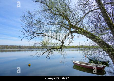 Deutschland, Baden-Württemberg, Karlsruhe, Ruderboot am Knielinger See. Stockfoto