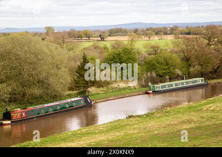 Canal Narrowboats bei Hurleston Cheshire am Shropshire union Kanal nahe der Kreuzung mit dem Llangollen Kanal Stockfoto