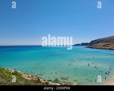 Öffentlicher Strand mit türkisfarbenem Wasser, Blick über die wunderschöne Bucht mit vielen Urlaubern im Meerwasser in Cala Mesquida auf Mallorca, Spanien Stockfoto