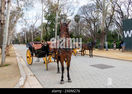 Sevilla, Spanien - 3. März 2024: Pferdekutschen, die Touristen über die Plaza de España in Sevilla transportieren Stockfoto