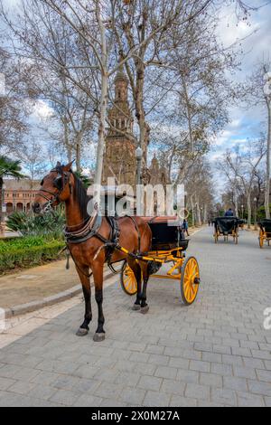 Sevilla, Spanien - 3. März 2024: Pferdekutschen, die Touristen über die Plaza de España in Sevilla transportieren Stockfoto