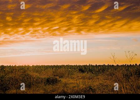 Rote Sonnenuntergangswolken über Four Mile Beach, Kalifornien. Stockfoto