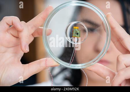 Wissenschaftler untersucht einen Mikrochip. Stockfoto