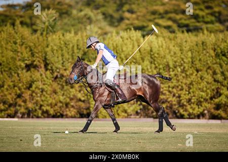 Wellington, Florida, USA. April 2024. Prinz Harry, Duke of Sussex, Mitbegründer von Sentebale, spielt im Royal Salute Sentebale Team gegen das Grand Champions Team, das von seinem langjährigen Freund und Botschafter der Wohltätigkeitsorganisation, dem argentinischen Polospieler Nacho Figueras und dem Maseru Team, angeführt wird. Quelle: Yaroslav Sabitov/YES Market Media/Alamy Live News. Stockfoto