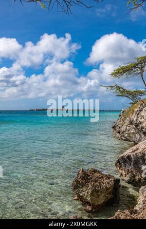 Die Küste von Aruba blickt nördlich von Mangle Halto in Richtung de Palm Island Stockfoto