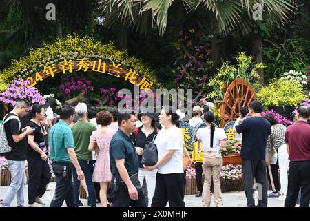 Nanning, China. April 2024. Besucher sehen am 12. April 2024 eine Orchideenausstellung in voller Blüte in Nanning, China. (Foto: Costfoto/NurPhoto) Credit: NurPhoto SRL/Alamy Live News Stockfoto