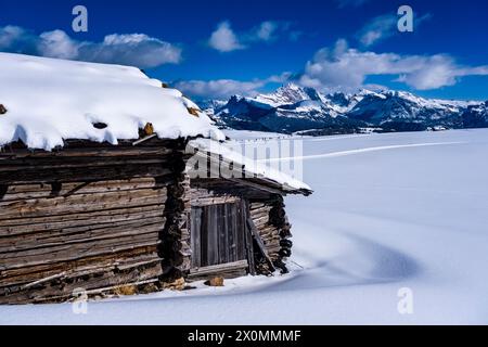 Hügeliges Ackerland mit schneebedeckten Weiden und einer Holzhütte auf der Seiser Alm im Winter, Gipfel der Geisgruppe in der Ferne. Stockfoto