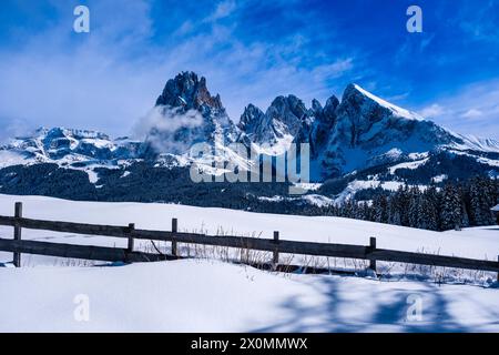 Hügeliges Ackerland mit schneebedeckten Weiden, Bäumen und Holzzaun auf der Seiser Alm im Winter, die Gipfel des Langkofs und des Sasso Piatto in Stockfoto