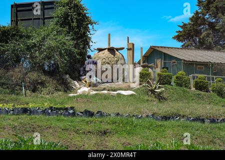 Sri Lanka - Nuwara Eliya Gemüsezucht Agricultre Stockfoto