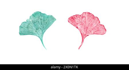 Design Vintage-Blatt-Prägung von Biloba. Blätter in türkisfarbenen, rosa Farben. Gingko-Werk. Satz trockener abstrakter Fächerblätter. Aquarellabbildung Stockfoto