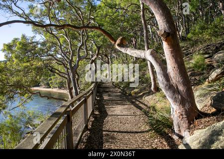 Bradleys Head Wanderweg am Nordufer des Hafens von Sydney, ist Teil des 80 km langen Bondi to Manly Wanderwegs, bietet Blick auf den Hafen und die Stadt, Sydney Stockfoto