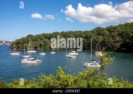 Taylors Bay am unteren Nordufer in Mosman Sydney, einer abgeschiedenen Bucht, die bei Yachten vor dem Bondi to Manly Scenic Walk in Sydney, NSW, Australien beliebt ist Stockfoto