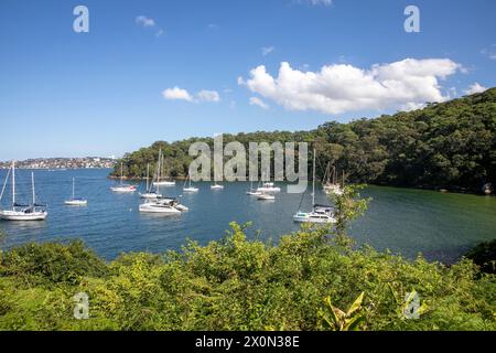 Taylors Bay am unteren Nordufer in Mosman Sydney, einer abgeschiedenen Bucht, die bei Yachten vor dem Bondi to Manly Scenic Walk in Sydney, NSW, Australien beliebt ist Stockfoto