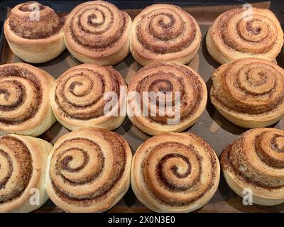 Hausgemachte runde Zimtrollen mit Zuckerkristallen in einem rechteckigen schwarzen Backblech, gerade gebacken Stockfoto