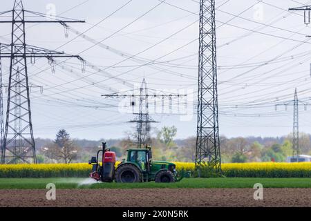 Pestizide & Agrarchemikalien in der Landwirtschaft ein Traktor navigiert durch sein Feld im Frühling und versprüht Pflanzenschutzmittel, um die wachsenden Pflanzen vor Schädlingen und Krankheiten zu schützen und somit die Produktivität zu steigern Schwanau Wittenweier Baden-Württemberg Deutschland *** Pestizide Agrarchemikalien in der Landwirtschaft Ein Traktor navigiert im Frühjahr durch sein Feld, Sprühen von Pflanzenschutzmitteln zum Schutz der wachsenden Pflanzen vor Schädlingen und Krankheiten und damit zur Steigerung der Produktivität Schwanau Wittenweier Baden Württemberg Deutschland 20240410-6V2A0690 Stockfoto