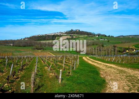 Sancerre beschriftete Les Plus Beaux Villages de France. Blick auf das Dorf und seinen Weinberg. Abteilung Cher. Centre-Val de Loire. Frankreich. Europa Stockfoto