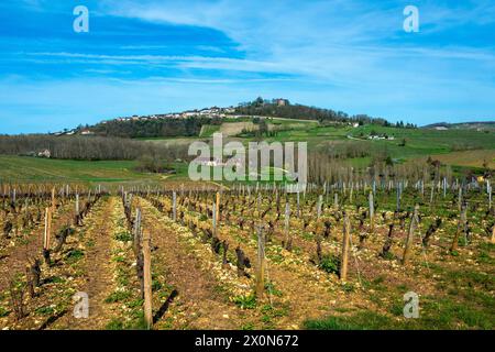 Cher (18) Sancerre classé comme l'un des plus beaux Villages de France Vue sur le Village et Son vignoble // Frankreich. Centre-Val de Loire. Cher (18) Sa Stockfoto