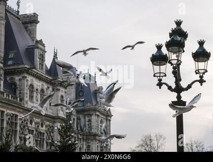 Hôtel de Ville de Paris mit Möwen fliegen und alter Pariser Straßenlaterne Stockfoto