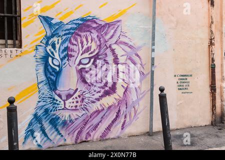 Farbenfrohe Graffiti auf den Straßen der Altstadt von Marseille, Frankreich Stockfoto