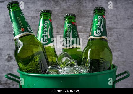 Antalya, Türkei – 4. April 2024: Carlsberg-Bierflaschen im Eimer mit Eis Stockfoto