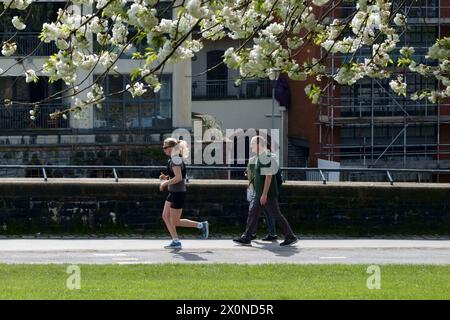 Castle Park, Bristol, Großbritannien. April 2024. Die Menschen genießen einen sonnigen Samstagmorgen unter der Blüte im Castle Park Bristol. Eine willkommene Pause vom regnerischen Wetter der letzten Zeit. Quelle: JMF News/Alamy Live News Stockfoto