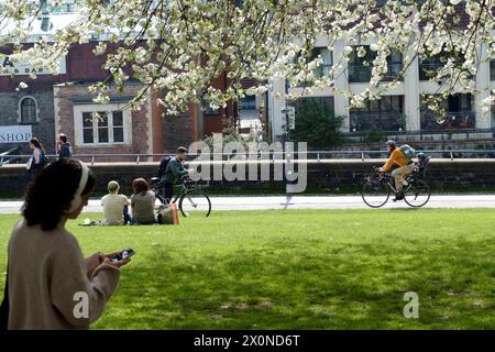 Castle Park, Bristol, Großbritannien. April 2024. Die Menschen genießen einen sonnigen Samstagmorgen unter der Blüte im Castle Park Bristol. Eine willkommene Pause vom regnerischen Wetter der letzten Zeit. Quelle: JMF News/Alamy Live News Stockfoto