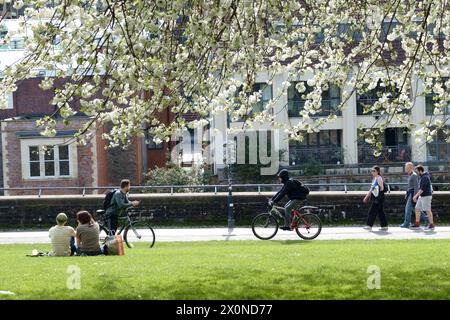 Castle Park, Bristol, Großbritannien. April 2024. Die Menschen genießen einen sonnigen Samstagmorgen unter der Blüte im Castle Park Bristol. Eine willkommene Pause vom regnerischen Wetter der letzten Zeit. Quelle: JMF News/Alamy Live News Stockfoto