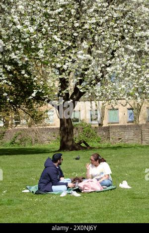 Castle Park, Bristol, Großbritannien. April 2024. Die Menschen genießen einen sonnigen Samstagmorgen unter der Blüte im Castle Park Bristol. Eine willkommene Pause vom regnerischen Wetter der letzten Zeit. Quelle: JMF News/Alamy Live News Stockfoto