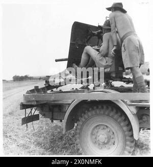 FOTOS AUS ZYPERN - ein weiteres Bild, das australische Panzerabwehrschützen zeigt, die für alles bereit sind. Fotografisches negativ, britische Armee Stockfoto