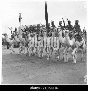 König 'Abd al-'Aziz Ibn Saud beobachtet Truppen der ägyptischen Armee, wo Kamele noch heute neben moderner militärischer Ausrüstung für den Transport eingesetzt werden. Stockfoto