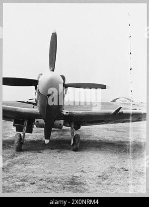 DAS NEUESTE SPITFIRE : MARK XII - für die Geschichte siehe CH.12726 Bild (Ausgabe 1944) zeigt: Nase des Spitfire mit den zusätzlichen Verkleidungen an der Motorhaube und dem vierflügeligen Propeller. Fotografisches negativ, Royal Air Force Stockfoto