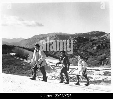 ALBANIEN : "HINTERZIMMER-JUNGS" AN DER FRONT - Major Thornton und Chris Cutchie, begleitet von einem Partisanen, machen sich auf eine Recce. Fotografisches negativ, britische Armee Stockfoto