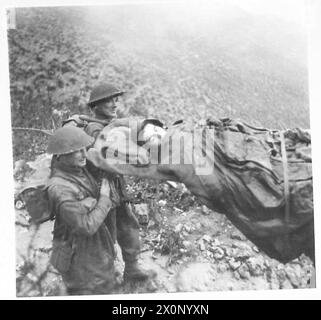 ITALIEN: FÜNFTER ARMYTHE ANGRIFF AUF DEN CAMINO - Ein verwundeter deutscher Soldat wird auf einer Bahre niedergebracht. Fotografisches negativ, britische Armee Stockfoto