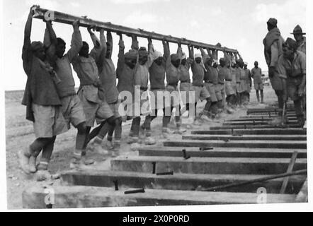 BILDER VOM Western DESERTRAILWAY CONSTRUCTION - Indisches Arbeitskorps, das eine Schiene aufnimmt, um sie auf die Schläfer zu legen, bereit zum Festlegen. Fotografisches negativ, britische Armee Stockfoto