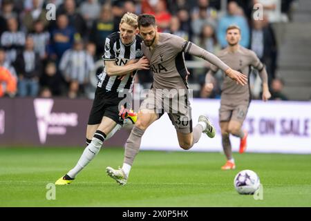 Anthony Gordon von Newcastle United fordert den Ball mit Rodrigo Bentancur von Tottenham Hotspur während des Premier League-Spiels zwischen Newcastle United und Tottenham Hotspur in St. James's Park, Newcastle am Samstag, den 13. April 2024. (Foto: Trevor Wilkinson | MI News) Credit: MI News & Sport /Alamy Live News Stockfoto