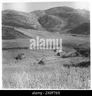 FÜNFTE ARMEE: BRITISCHE ARTILLERIE AN DER AMERIKANISCHEN FRONT - Priest-Geschütze in einem Maistal vor Artena. Fotografisches negativ, britische Armee Stockfoto