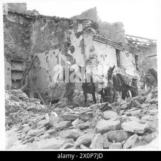 ITALIEN: DORF DER ACHTEN ARMYFRONT-LINIE - indische Truppen führen ihre Maultiere durch die Demoren in der Stadt. Fotografisches negativ, britische Armee Stockfoto