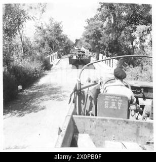 INVASION ITALIENS: AMPHIBIEN DER 8. ARMEE VERSORGEN UNSERE INVASIONSTRUPPEN - Ducks fahren entlang einer von Bäumen gesäumten Straße in der Nähe von Gallico. Fotografisches negativ, britische Armee Stockfoto