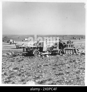 EL HAMMA NACH GABES. Die 8. ARMEE DURCHQUERT EL HAMMA NACH GABES - deutsche 88 mm Doppelzweckkanone und ihre Traktoren, von unserem Schussfeuer getroffen und nicht wegkommen konnten, hat der Feind sie "gestochen". Fotografisches negativ, britische Armee Stockfoto