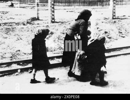 Jüdische ungarische Männer, Frauen und Kinder wurden von Mai bis Juni 1944 in das Lager Auschwitz II-Birkenau transportiert. Die Gefangenen bewegen sich auf der Straße zwischen den Compounds BIIc und BIId zu den Gaskammern IV und V. fotografisches negativ, Holocaust. Stockfoto