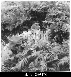 VERSCHIEDENE UNIFORMEN BRITISCHER UND ALLIIERTER NATIONEN IN LONDON - gemeinsames Bild der Repräsentanten. Fotografisches negativ, britische Armee Stockfoto