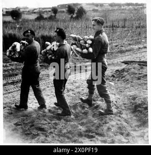 ITALIEN: FÜNFTER ARMYANZIO BRÜCKENKOPF - Brot wird jetzt auf dem Seeweg von Neapel gebracht, Panzermänner werden mit ihrem ersten Vorrat gesehen. Fotografisches negativ, britische Armee Stockfoto